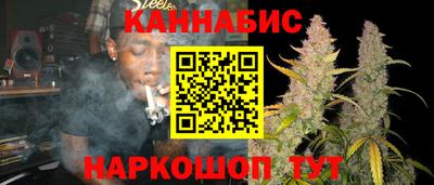 Альфа ПВП Дубна