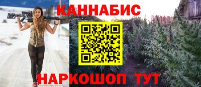 Альфа ПВП Дубна
