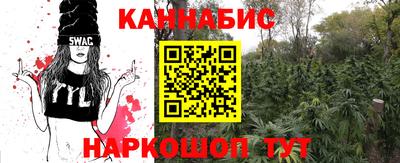 Альфа ПВП Дубна