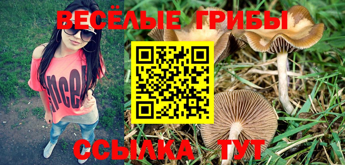 даркнет сайт  Вход с VPN  Псилоцибиновые грибы Magic Shrooms  Нижневартовск  Галлюциногенные грибы Cubensis 